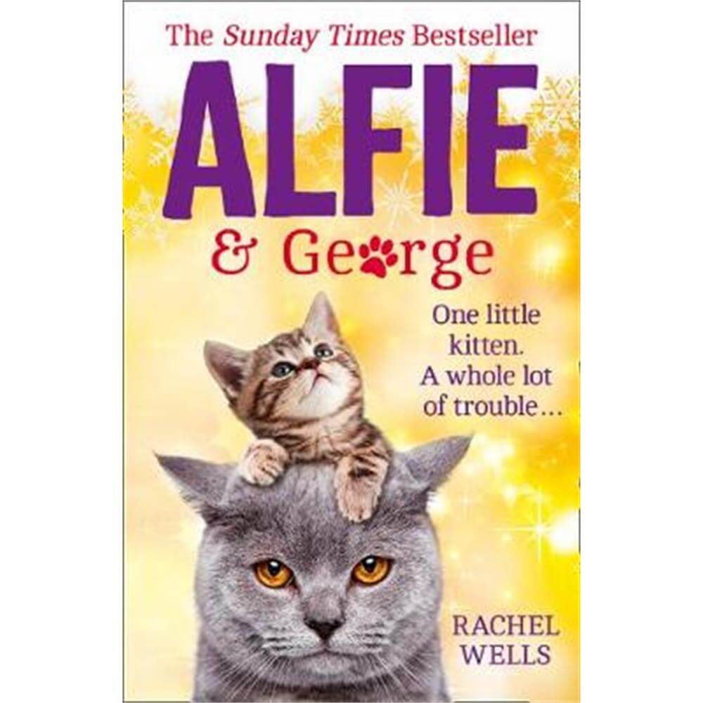 Alfie and George (Alfie series, Book 3) (Paperback) - Rachel Wells